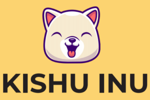Comprar Kishu Inu desde USA cómo comprar KISHU hoy