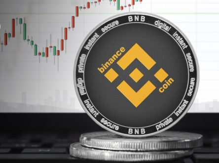 binance yuan coin)