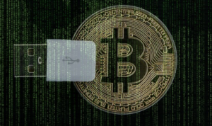 usb wallet bitcoin cash