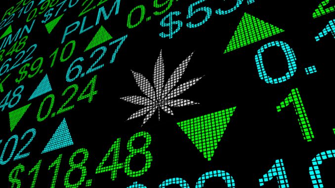 Invertir en marihuana: cómo invertir en cannabis en bolsa